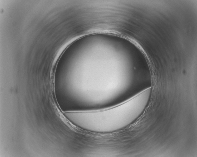 X0000054411148200507290850