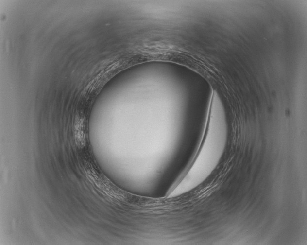 X0000054411156200507290849