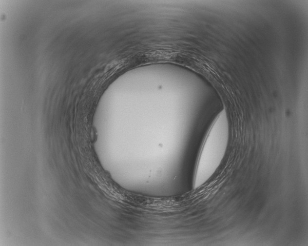 X0000054411201200507290848