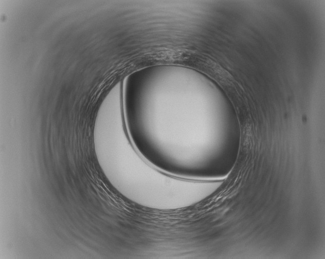 X0000054411202200507290848