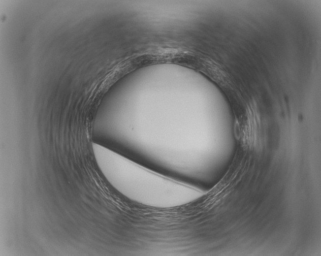 X0000054411204200507290848