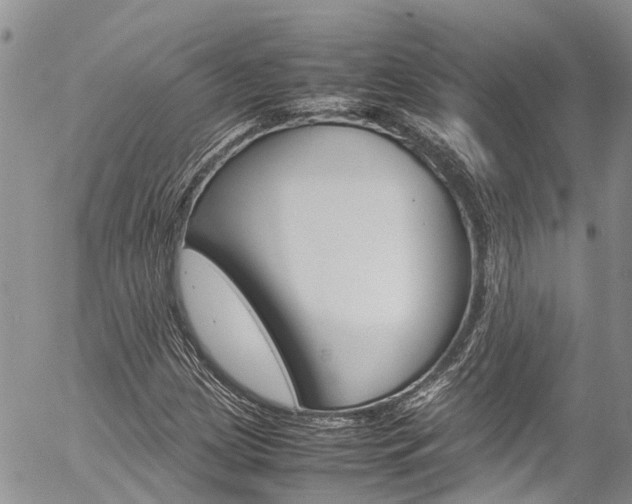 X0000054411209200507290848