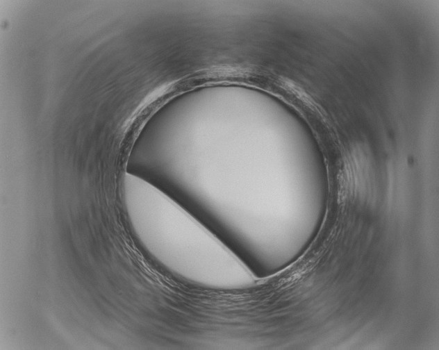 X0000054411213200507290848