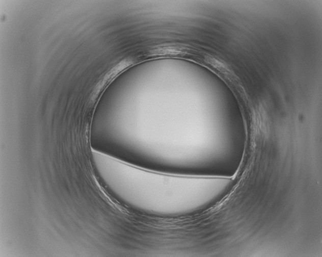X0000054411233200507290848