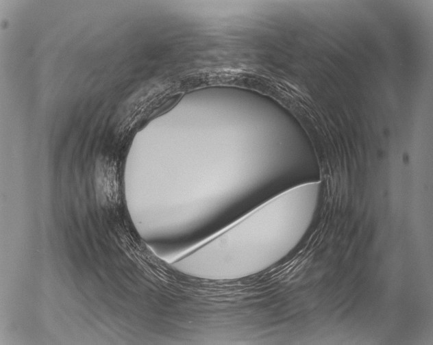 X0000054411252200507290848