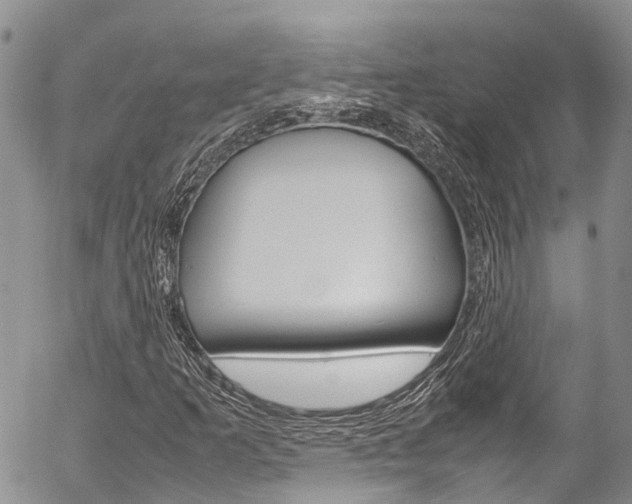 X0000054411253200507290848