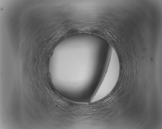 X0000054411345200507290846