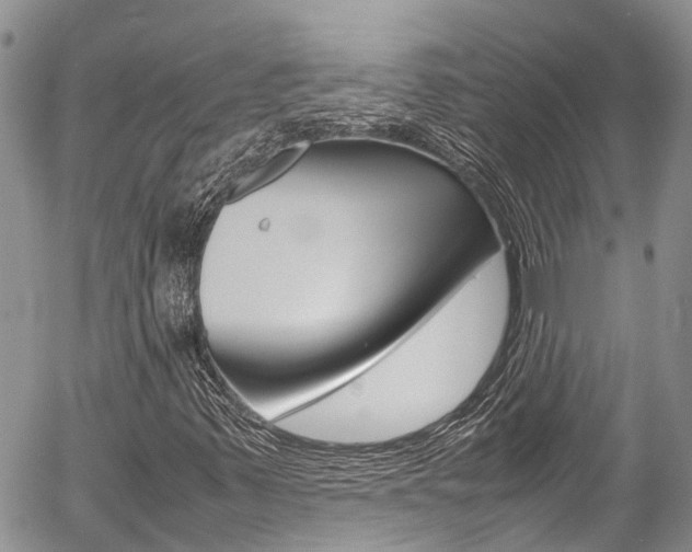 X0000054411347200507290846