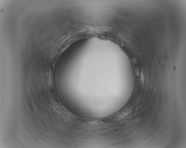 X0000054411348200507290846