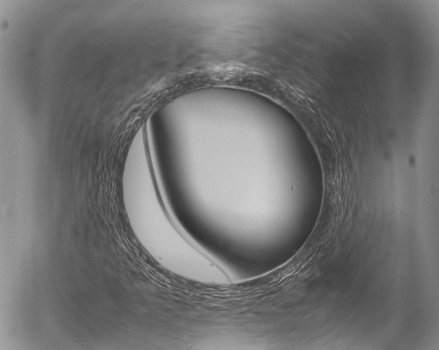 X0000054411349200507290846