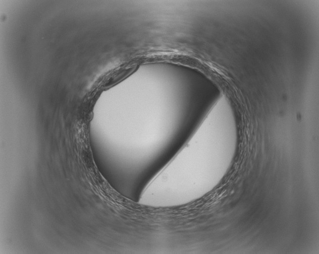 X0000054411351200507290846