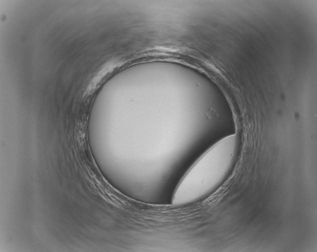 X0000054411355200507290846