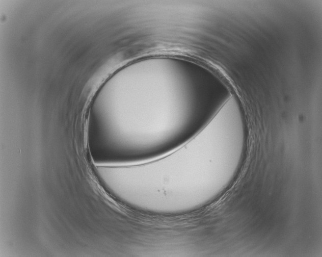 X0000054411371200507290846