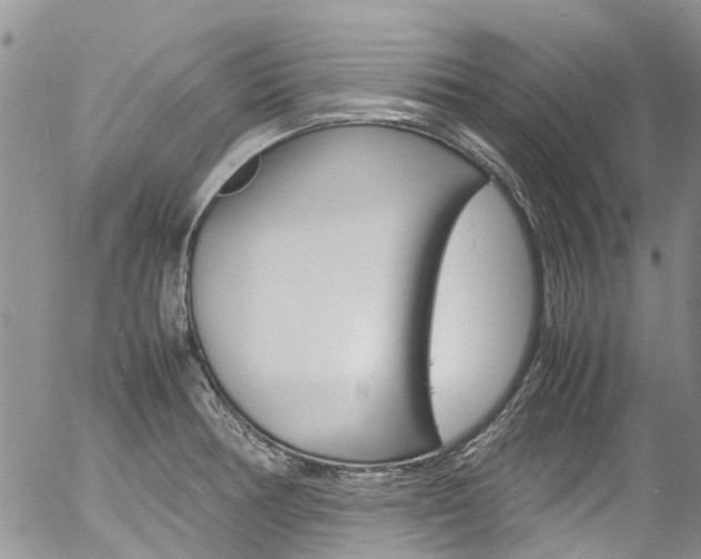 X0000054411378200507290846
