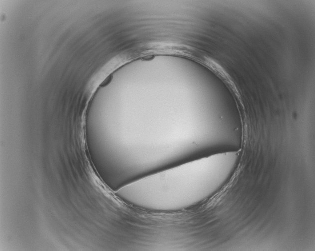 X0000054411386200507290846