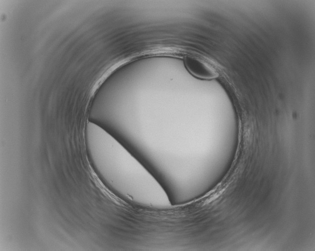 X0000054411417200507290845
