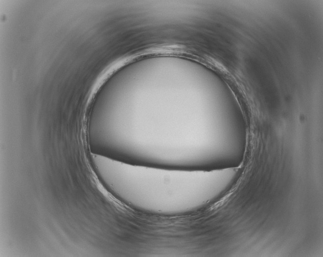 X0000054411421200507290845