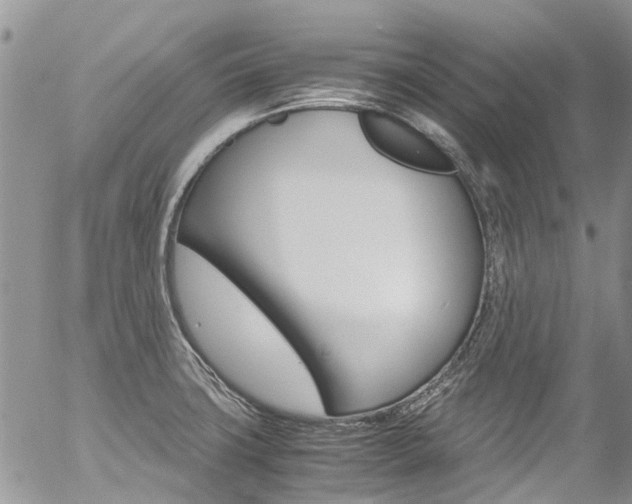 X0000054411427200507290845