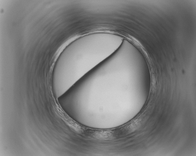 X0000054411435200507290845