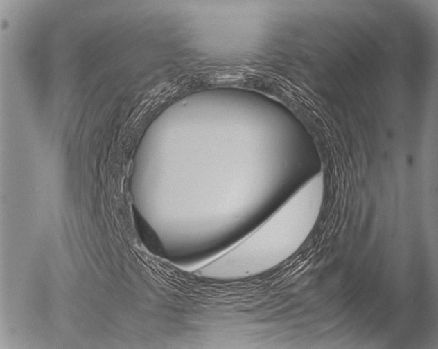 X0000054411441200507290845