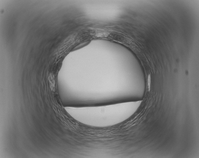 X0000054411443200507290845