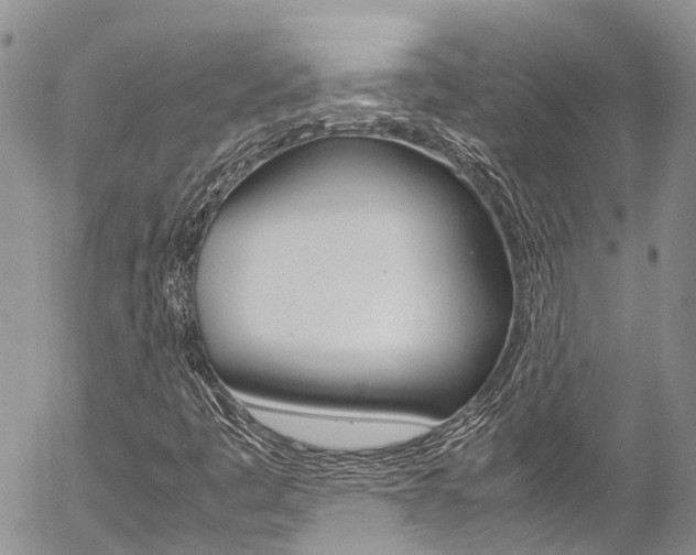 X0000054411445200507290845