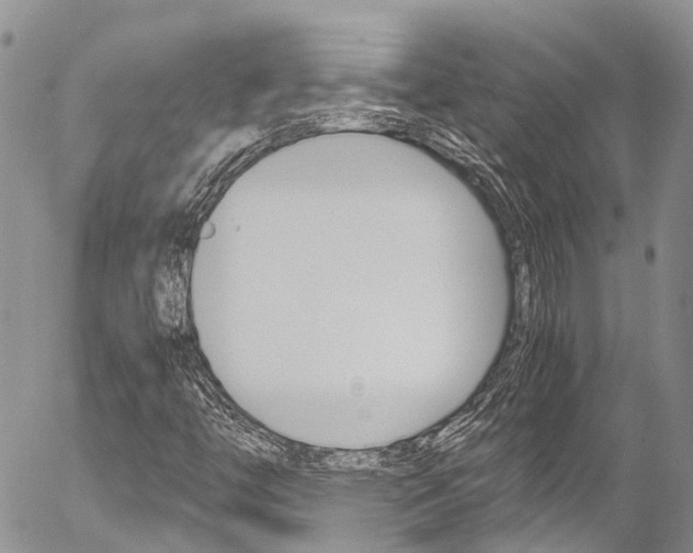 X0000054411446200507290845