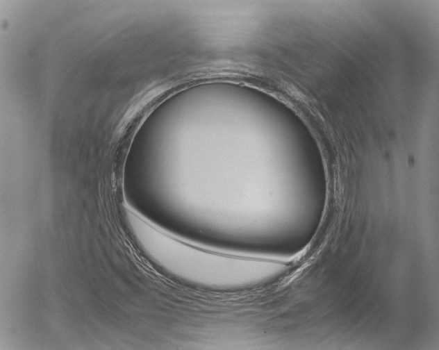 X0000054411453200507290844