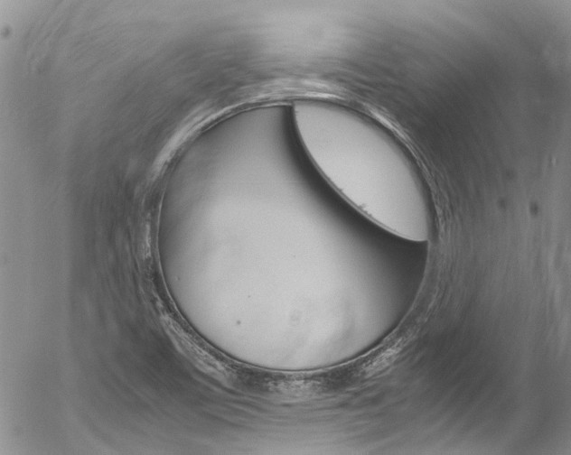 X0000054411459200507290844