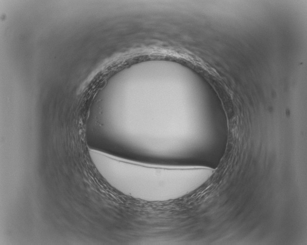 X0000054411495200507290843
