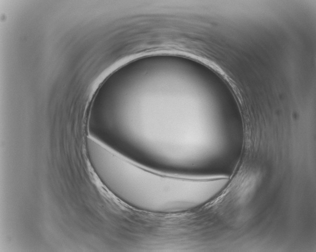 X0000054411534200507290844