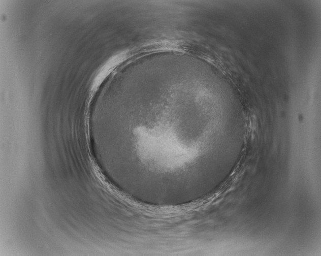 X0000054410006200507291154