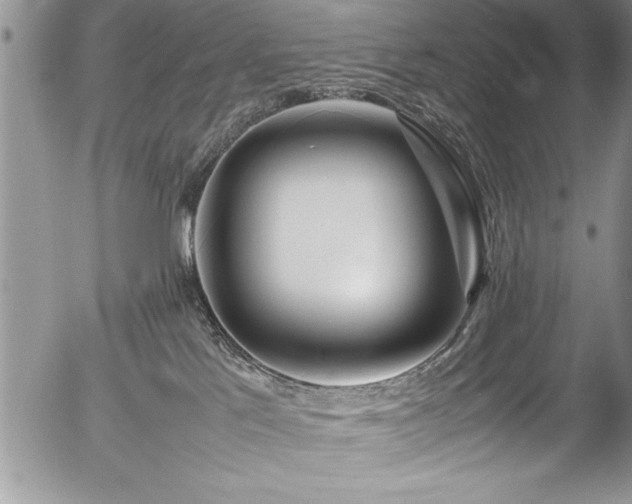 X0000054410041200507291154