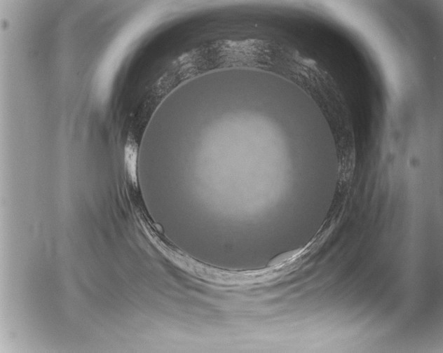 X0000054410047200507291154
