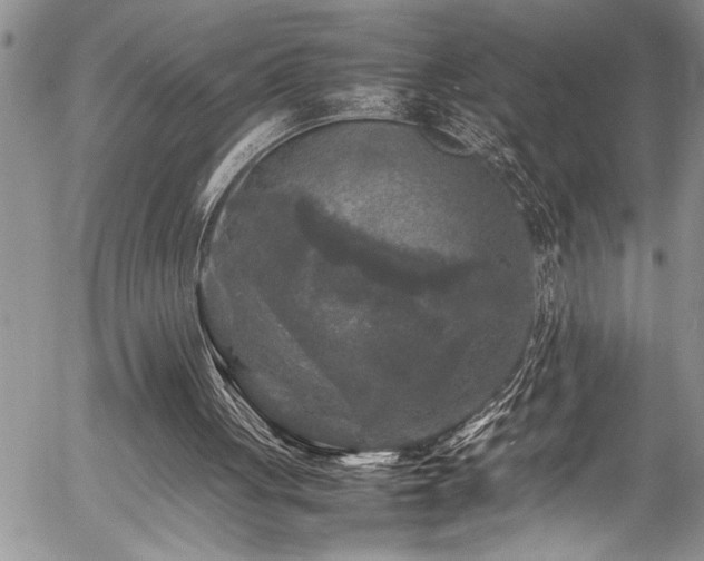 X0000054410051200507291153