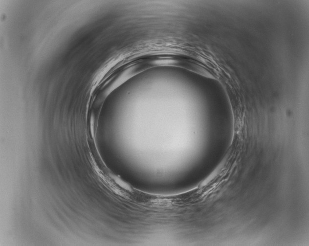X0000054410052200507291153