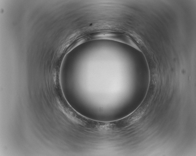 X0000054410072200507291153