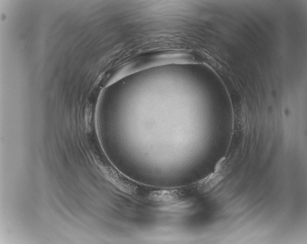 X0000054410082200507291153