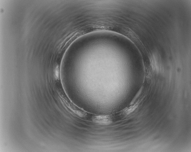 X0000054410095200507291153