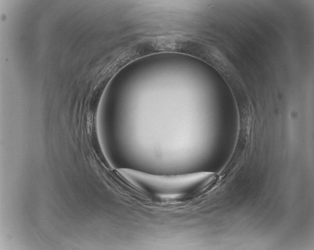 X0000054410125200507291152