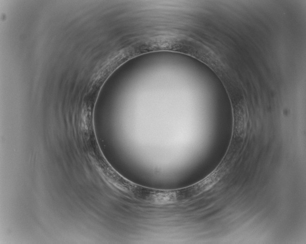X0000054410126200507291152