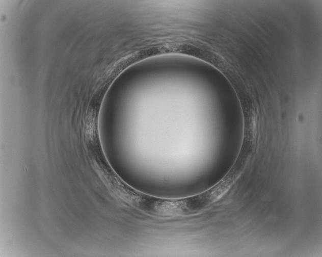 X0000054410129200507291152