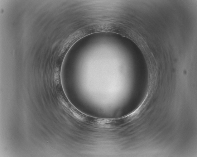 X0000054410144200507291152