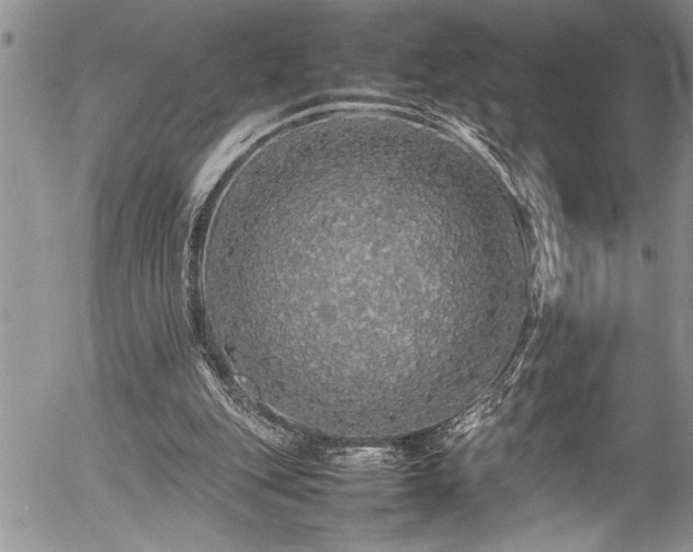 X0000054410151200507291151