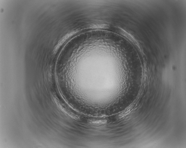 X0000054410155200507291151