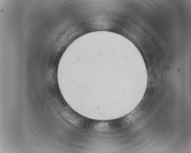 X0000054410162200507291151