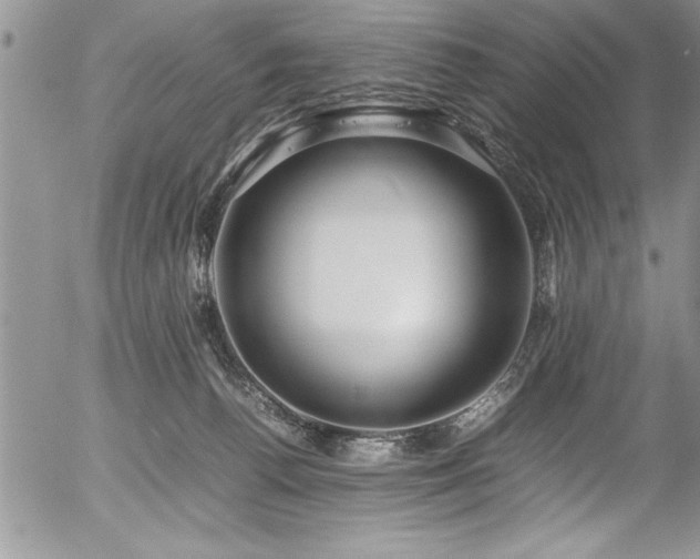 X0000054410176200507291152