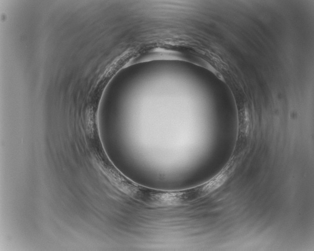 X0000054410184200507291152