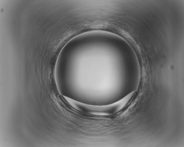 X0000054410201200507291151