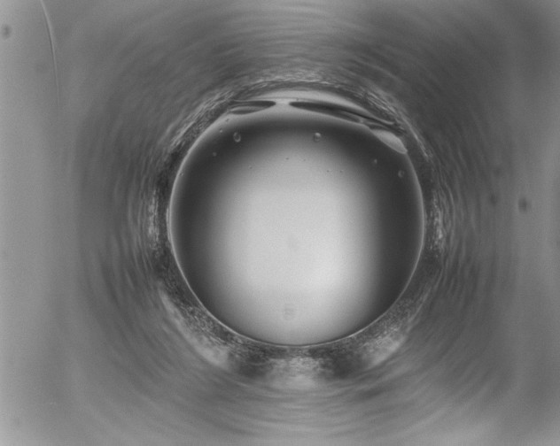 X0000054410212200507291151